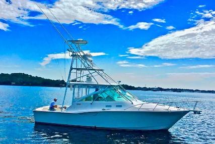 CABO 35 Express for sale in United States of America for $229,900 (£176,482)