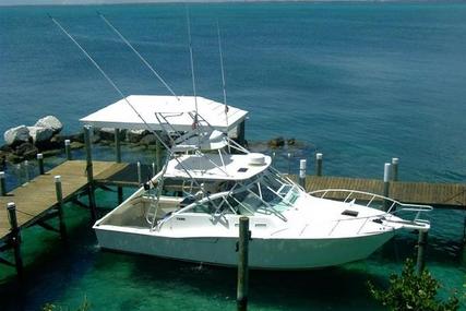 CABO Express for sale in United States of America for $229,000 (£175,791)