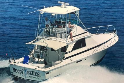 Bertram Convertible for sale in United States of America for $45,500 (£34,400)