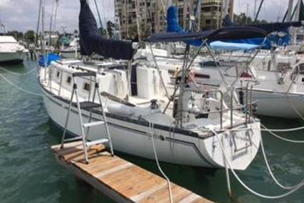 Hunter Sloop for sale in United States of America for $19,475 (£15,168)
