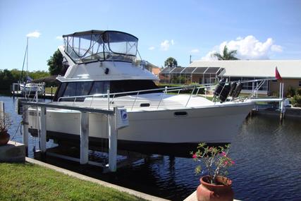 Bayliner 3288 Motoryacht for sale in United States of America for $49,900 (£38,703) Bayliner 3288 Motoryacht for sale in United States of America for $49,900 (£38,703)