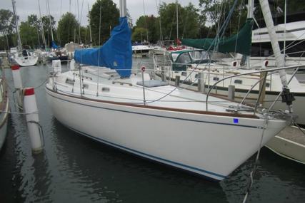 Pearson 36 for sale in United States of America for $16,500 (£12,535)