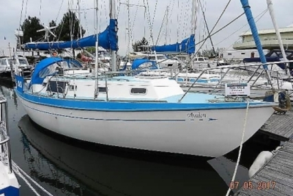 Barbican 33 Mk II for sale in United Kingdom for 22.950 £