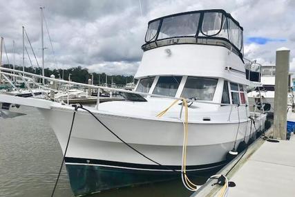 Mainship 390 Trawler for sale in United States of America for $124,900 (£96,212)