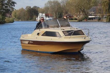 Shetland Family Four for sale in United Kingdom for £5,000