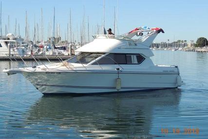 Bayliner Ciera 2858 Command Bridge for sale in United States of America for $39,900 (£30,516) Bayliner Ciera 2858 Command Bridge for sale in United States of America for $39,900 (£30,516)