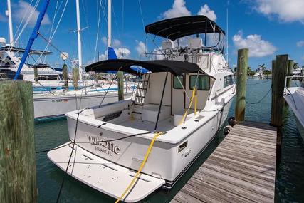 Bertram Flybridge for sale in United States of America for $49,900 (£39,698)