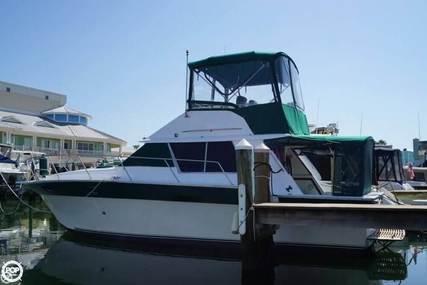 Silverton 34 Convertible for sale in United States of America for $19,500 (£15,136)