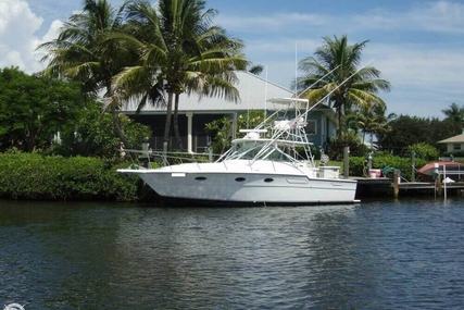 Tiara 3300 Open for sale in United States of America for $49,900 (£38,547)