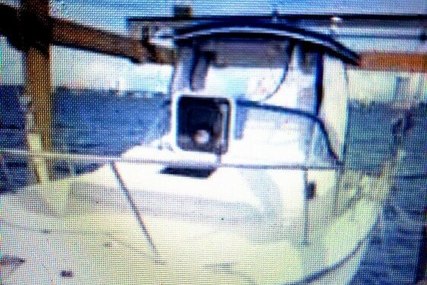 Shamrock 24 for sale in United States of America for $15,400 (£12,251)