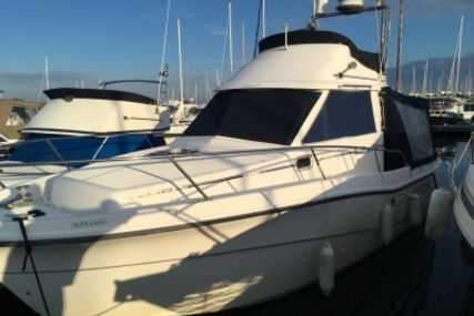 Rodman 800 for sale in France for €25,000 (£22,452)