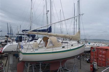 Nonsuch 26 for sale in United Kingdom for £17,500