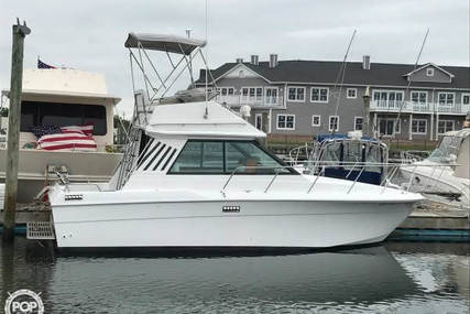 Wellcraft Sedan Cruiser 260 for sale in United States of America for $21,950 (£16,908)