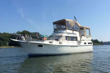 Carver Yachts Open Bridge for sale in United States of America for $46,700 (£36,247) Carver Yachts Open Bridge for sale in United States of America for $46,700 (£36,247)