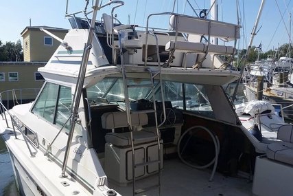 Sea Ray 340 Sport Fish for sale in United States of America for $20,500 (£15,511) Sea Ray 340 Sport Fish for sale in United States of America for $20,500 (£15,511)