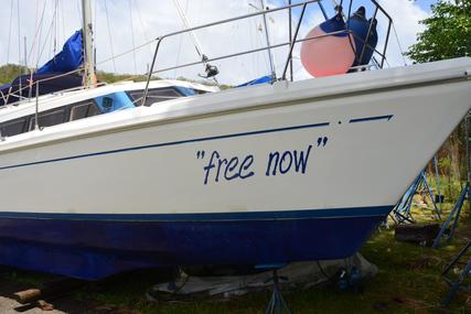 Prout Snowgoose 37 Elite for sale in Grenada for $85,000 (£65,172)
