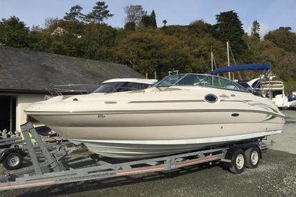 Sea Ray 240 Sundeck for sale in Netherlands for €10,500 (£9,269)
