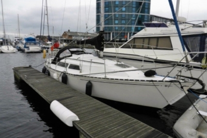 Trapper Trapper 501 for sale in United Kingdom for £8,995