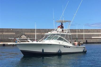 Luhrs Open Fisher 36 for sale in Spain for €135,000 (£117,709)