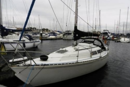 Trapper Trapper 501 for sale in United Kingdom for £8,995