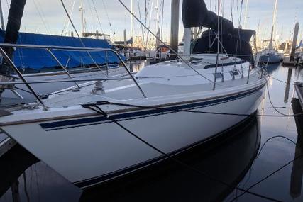 Catalina c36T for sale in United States of America for $48,000 (£36,975)