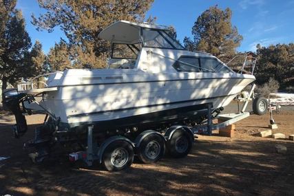 Bayliner Ciera 2452 Express for sale in United States of America for $21,250 (£16,253) Bayliner Ciera 2452 Express for sale in United States of America for $21,250 (£16,253)