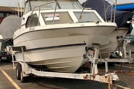 Bayliner 25 for sale in United States of America for $15,250 (£11,664) Bayliner 25 for sale in United States of America for $15,250 (£11,664)