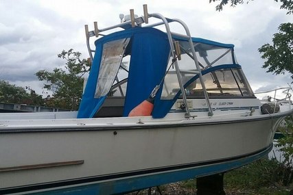 Shamrock 260 LE Cuddy Cabin for sale in United States of America for $13,900 (£10,696)
