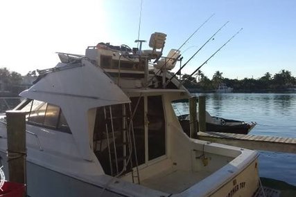 Trojan 10 Meter International for sale in United States of America for $17,000 (£13,182)