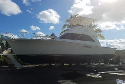 Ocean Yachts Fresh Bottom Job & Zincs for sale in United States of America for $89,900 (£73,992)