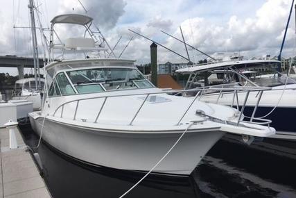 CABO 36 Express for sale in United States of America for $349,000 (£266,924)