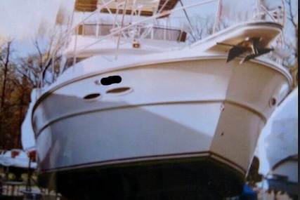 Sea Ray SRV390 for sale in United States of America for $31,700 (£24,089)