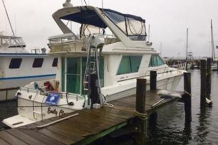 Sea Ray Sedan Bridge for sale in United States of America for $90,000 (£69,005)