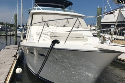 Bayliner 4788 Pilothouse for sale in United States of America for $109,999 (£85,851) Bayliner 4788 Pilothouse for sale in United States of America for $109,999 (£85,851)