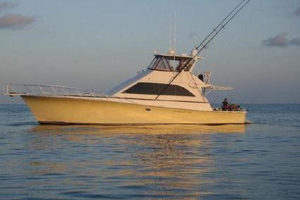 Ocean Yachts Convertible for sale in United States of America for $199,900 (£153,879)