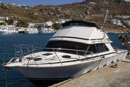 Bertram for sale in Greece for €45,000 (£40,398)