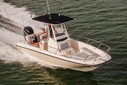 Boston Whaler 240 Dauntless for sale in Spain for €115,000 (£99,550)