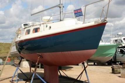 Westerly Westery Tiger 25 for sale in United Kingdom for £7,950