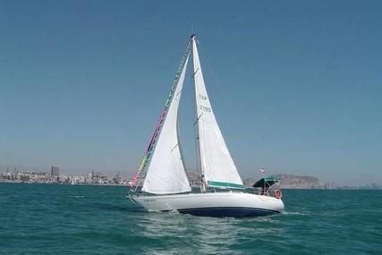 Noray 383 for sale in Spain for €35,000 (£29,939)