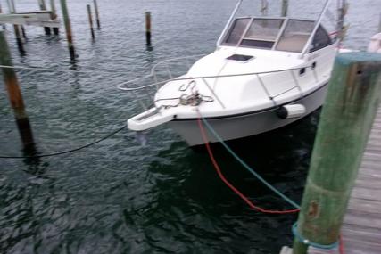 Shamrock 260 Express for sale in United States of America for $13,500 (£9,759)