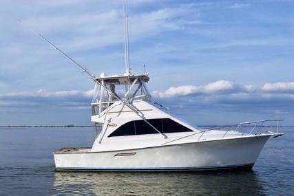 Ocean Yachts Super Sport for sale in United States of America for $74,900 (£54,640)