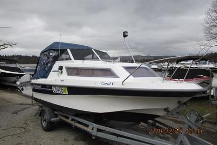 Shetland Family 4 for sale in United Kingdom for £9,995