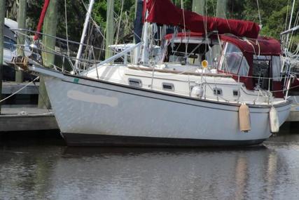 Island Packet 32 for sale in United States of America for $35,900 (£28,786)