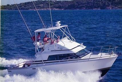 Bertram 33 Sport Fish for sale in France for €69,000 (£60,823)