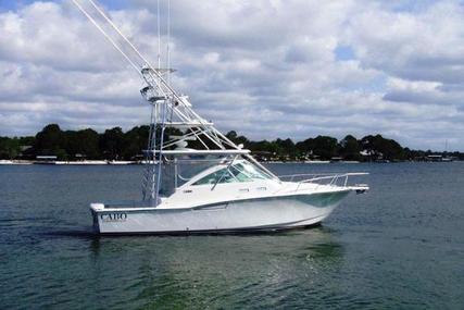 CABO 35 Express for sale in United States of America for $229,750 (£180,530)