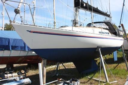 Sadler 25 for sale in United Kingdom for £6,450