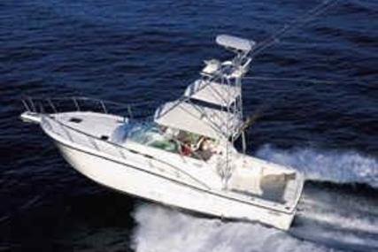 Rampage 38 Express for sale in Jamaica for $225,000 (£171,075)