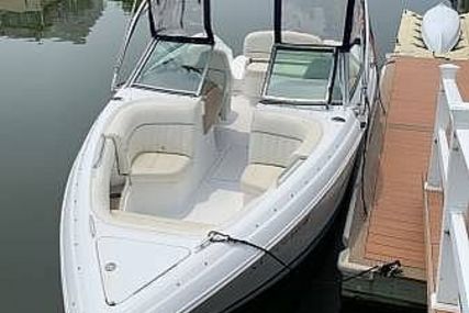 Cobalt 232 for sale in United States of America for $38,200 (£27,533)