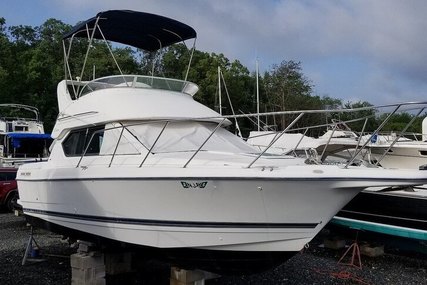 Bayliner Ciera 2828 Command Bridge for sale in United States of America for $19,800 (£16,192) Bayliner Ciera 2828 Command Bridge for sale in United States of America for $19,800 (£16,192)