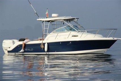 Robalo 245 R for sale in Italy for €48,000 (£43,175)